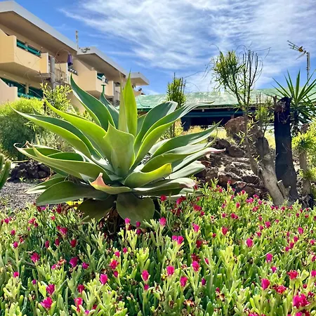 La Casita De Aiko E Yuki Apartment Costa De Antigua